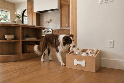 Dog Box