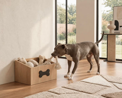 Dog Box