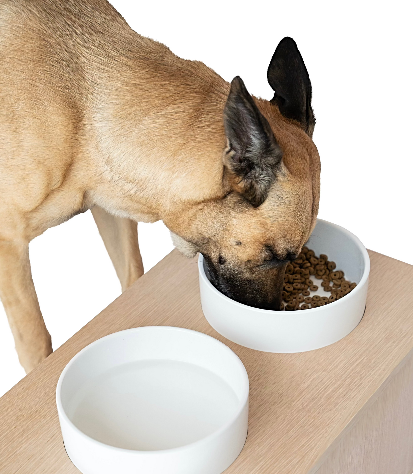 Bone Appétit Buffet