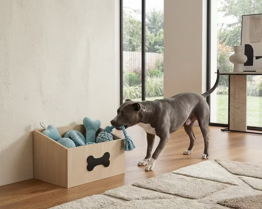 Hideaway Box