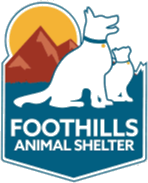 Shelter 9