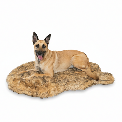 Pup Rug — Curve Sable Tan