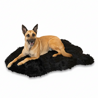 Pup Rug — Curve Midnight Black