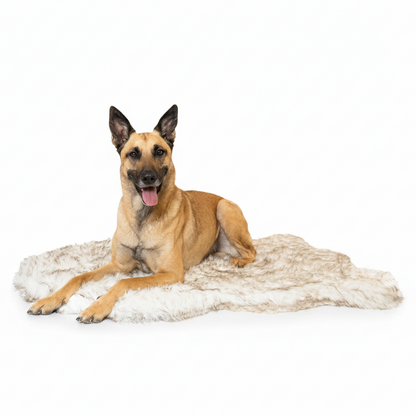 Pup Rug — Curve White with Brown Accents